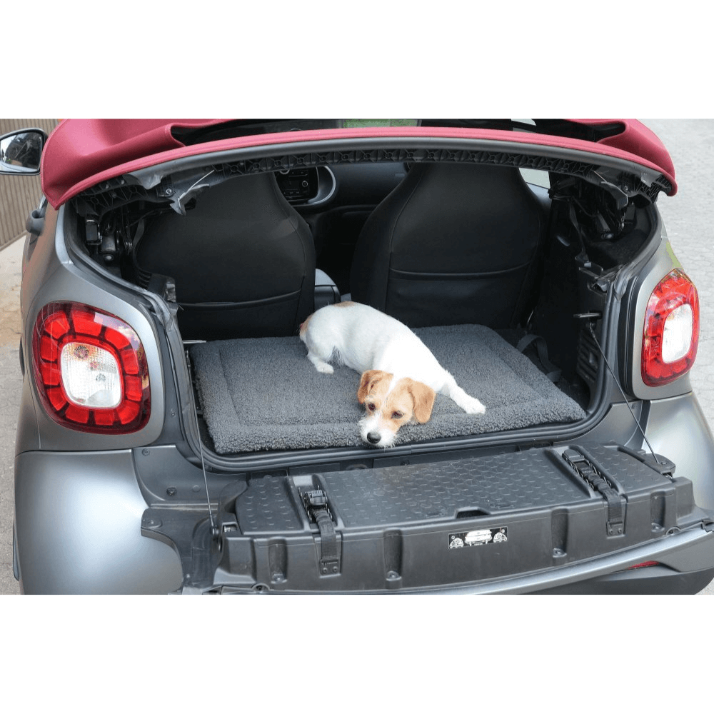 Hundereisematte, Grapit, S