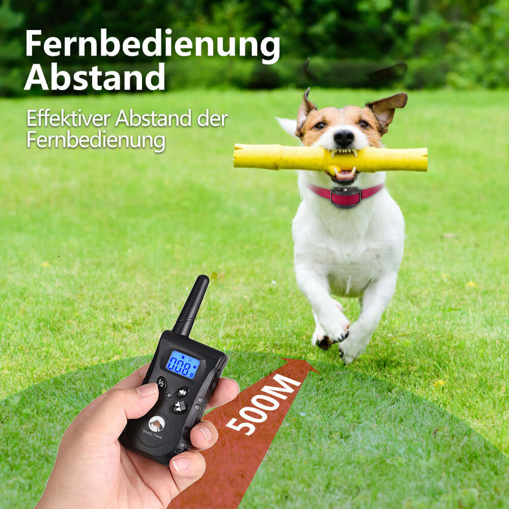 Vibrations halsband tauber Hund
