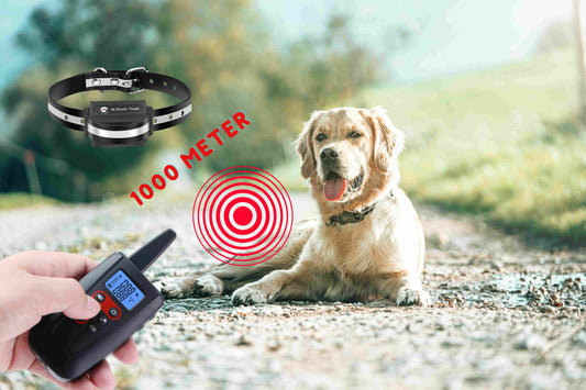 Vibrationshalsband für Hunde