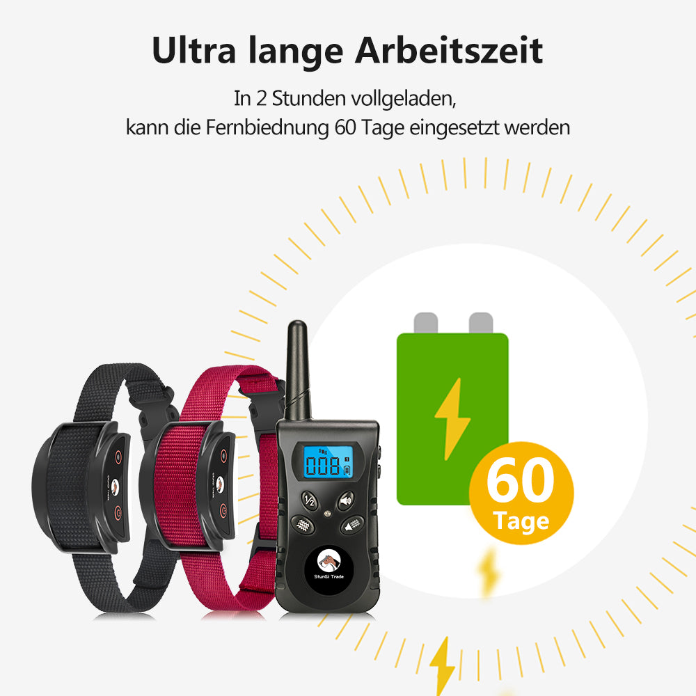 Erziehungshalsband mit Lithium Batterie