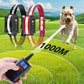 Hundetraining mit Vibrationshalsband