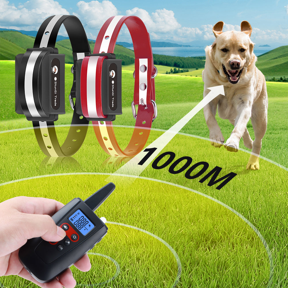 Hundetraining mit Vibrationshalsband