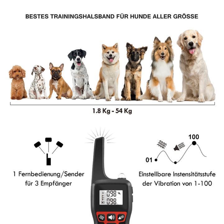 Erziehungshalsband für alle Hundegroße