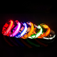 LED Hunde Leuchthalsband