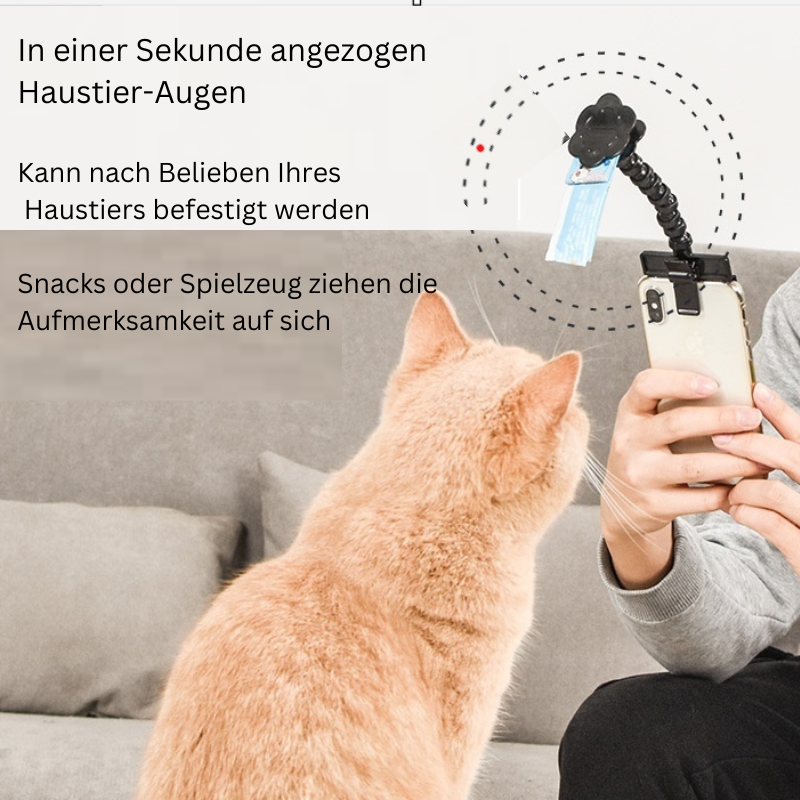 Haustier-Selfie Clip
