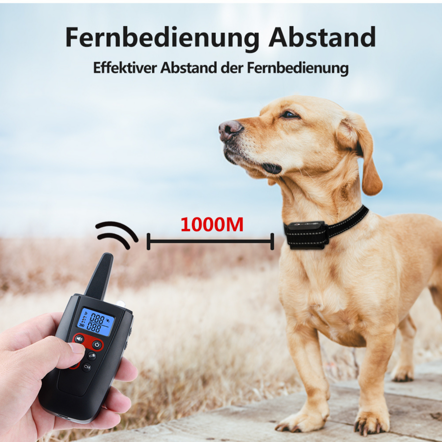 tauber Hund Vibrationshalsband