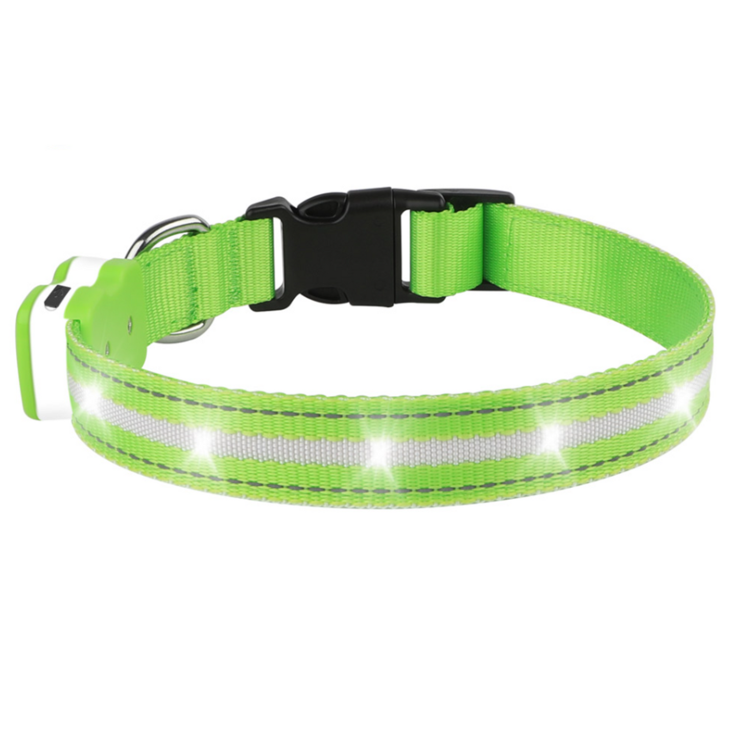 Led Hundehalsband Grün